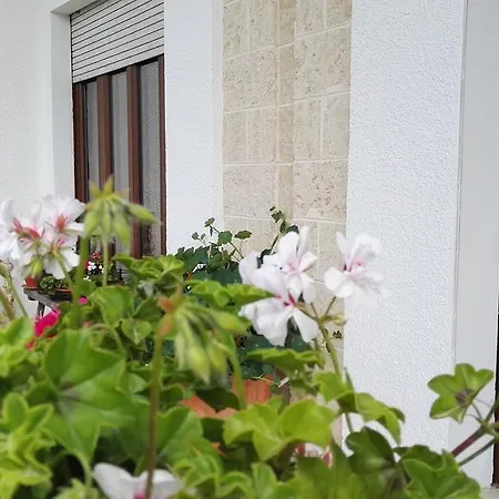 Le Casette Презичче