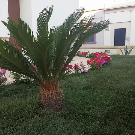 Апартаменты Le Casette Презичче